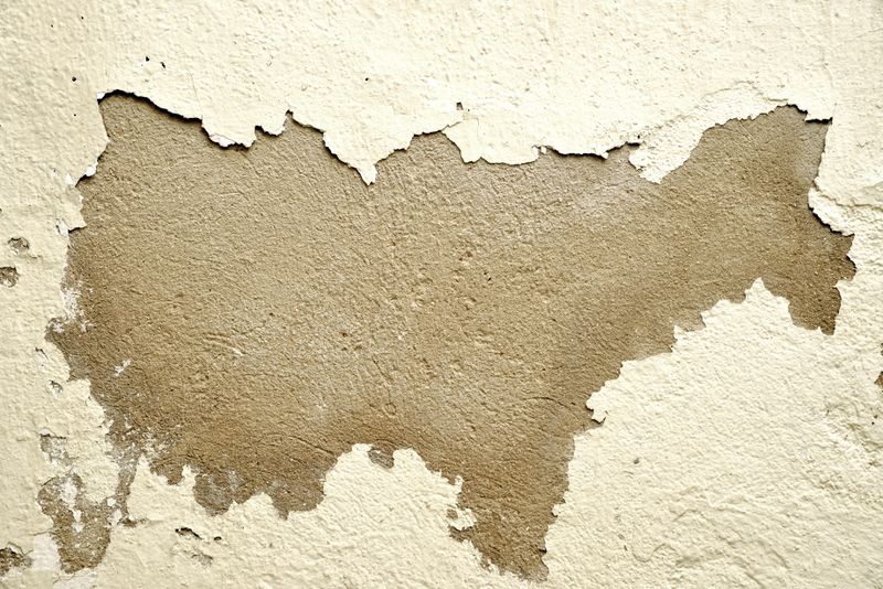 Mold and water-damaged wall